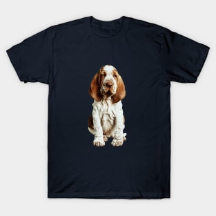 Bracco Italiano puppy dog T-Shirt